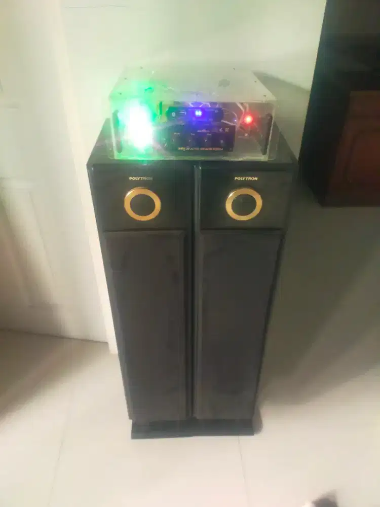 Speaker Polytron