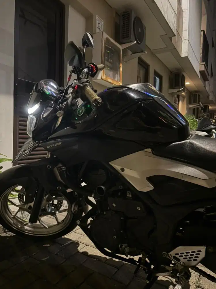 Yamaha Mt25 / MT25