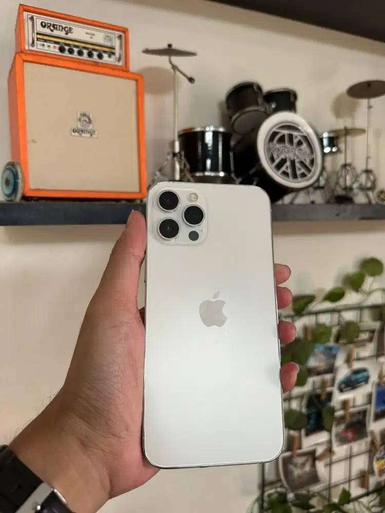 iPhone 12 Promax 256