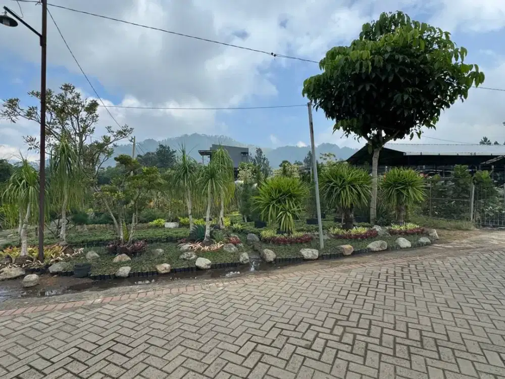Di jual tanah Kawasan Bukit Berbungga Kota Batu. Jalan 7 meter. Lingkungan vila. Air listrik ready. 10 menit dari alun-alun Kota Batu
