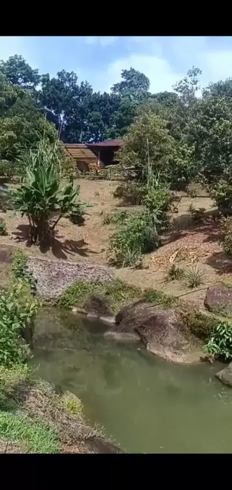 DIJUAL KEBUN DURIAN 2 HEKTAR + VILLA, CINANGKA, KAB SERANG - BANTEN
