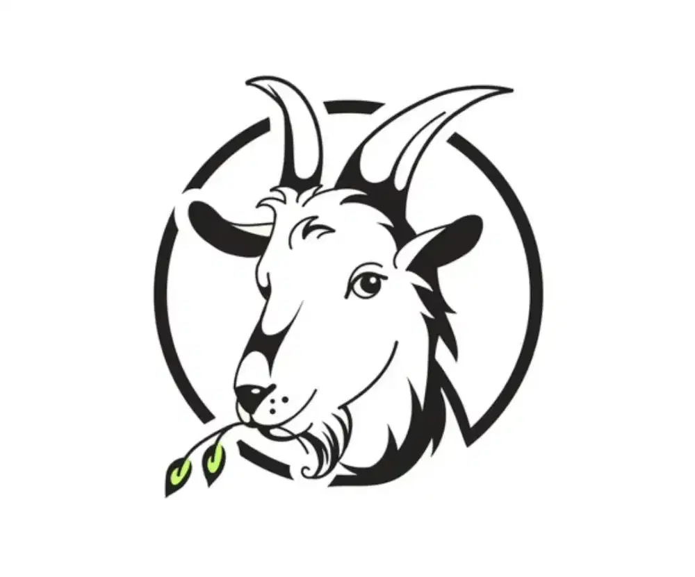 Promo Kambing Qurban & Aqiqah