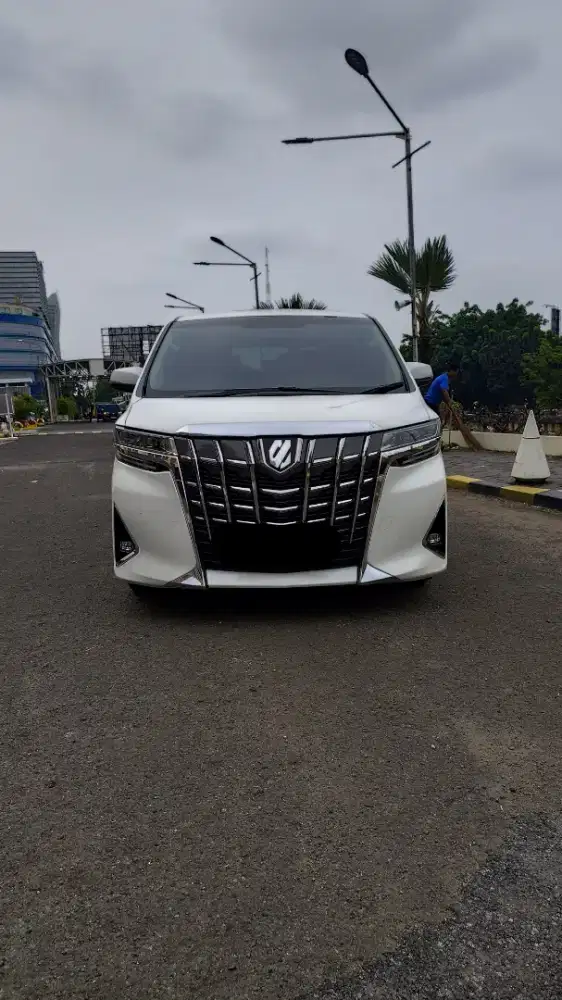 Alphard Type X 2018