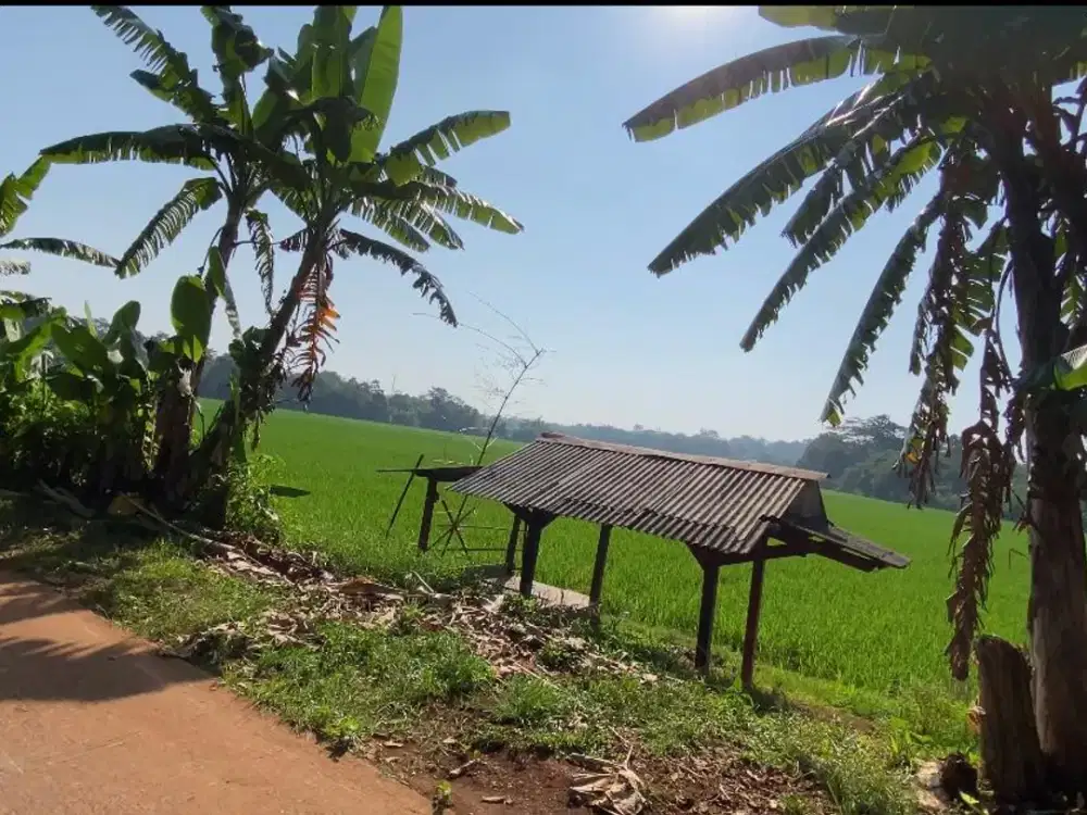 Dijual Murah Tanah Sawah Pinggir Jalan di Bungursari Purwakarta Kota