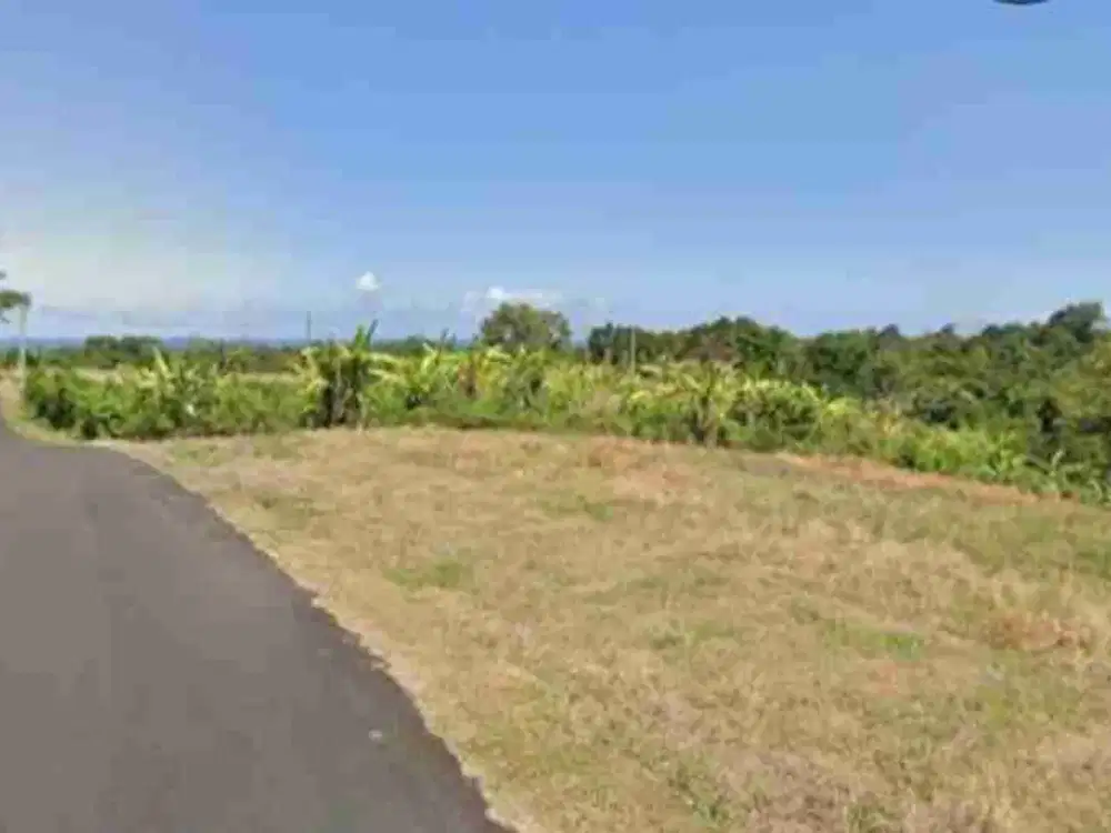 Tanah View Jungle dekat Sahaja Sawah Villa dan Pantai Kelecung Bali