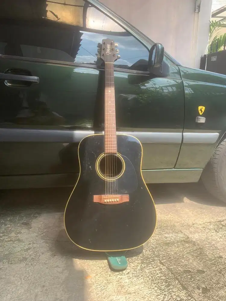 Takamine D Series Acoustic Electric Guitar