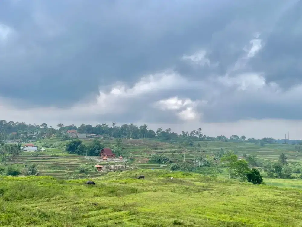 Dijual Tanah Ada Mata Air Besa Beli Sebagian di Darangdan Purwakarta