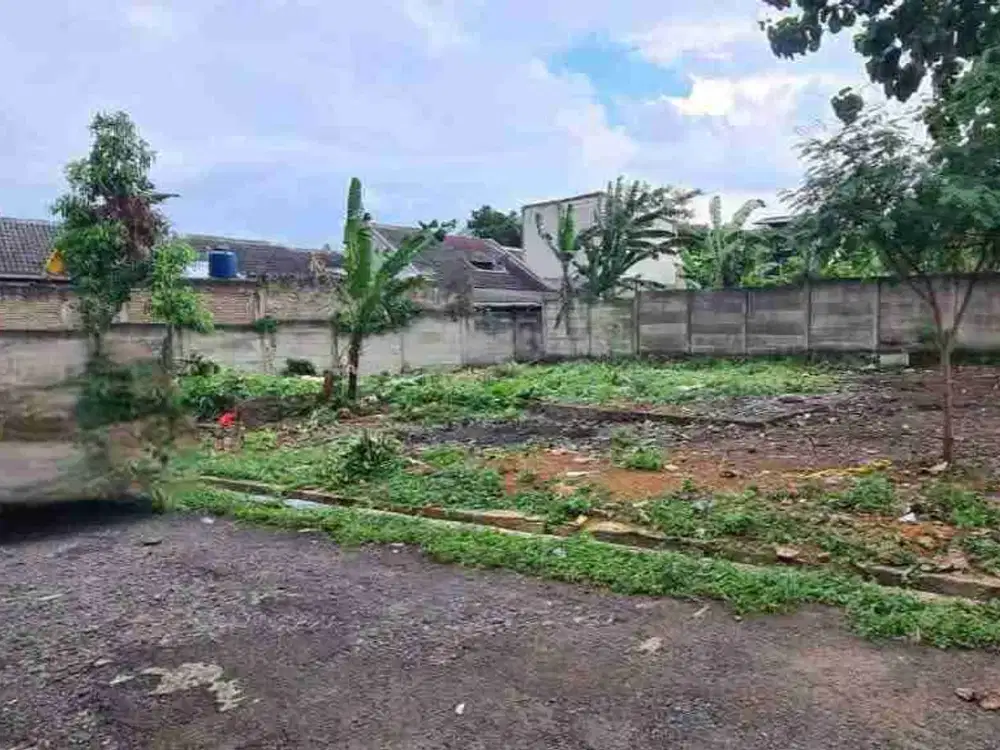 tanah 437 meter di gunung sulah way halim