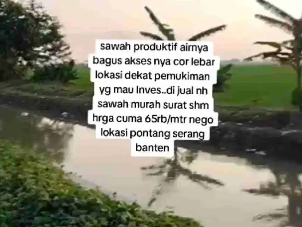 Dijual sawah produktif akses jalan cor