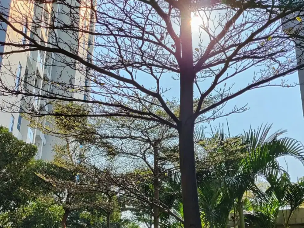 PEMILIK BERMINAT UNTUK MENJUAL APARTEMEN DI PURI MANSION DENGAN TIPE STUDIO LUAS 26 M2 DENGAN 1 KAMAR MANDI, KONDISI FURNISH TERMURAH 400 Juta NET