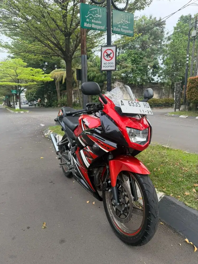 Kawasaki Ninja 150 RR Special Edition