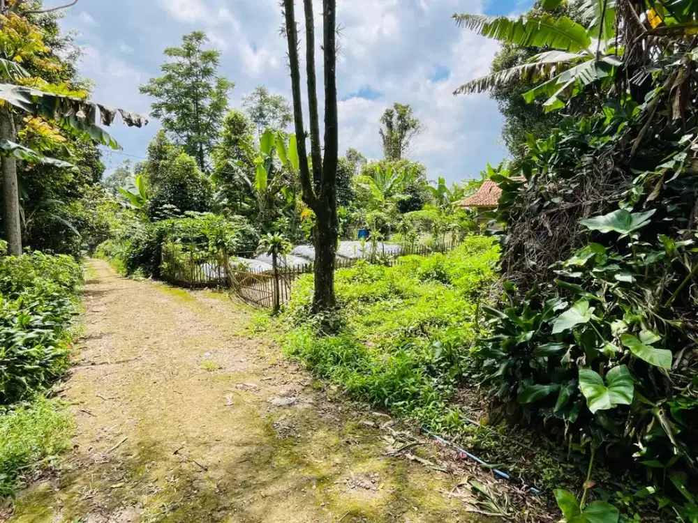 Dijual Murah Tanah Akses Mobil Pemandangan Bagus Wanayasa Purwakarta