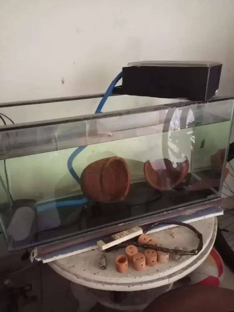 Aquarium ikan hias