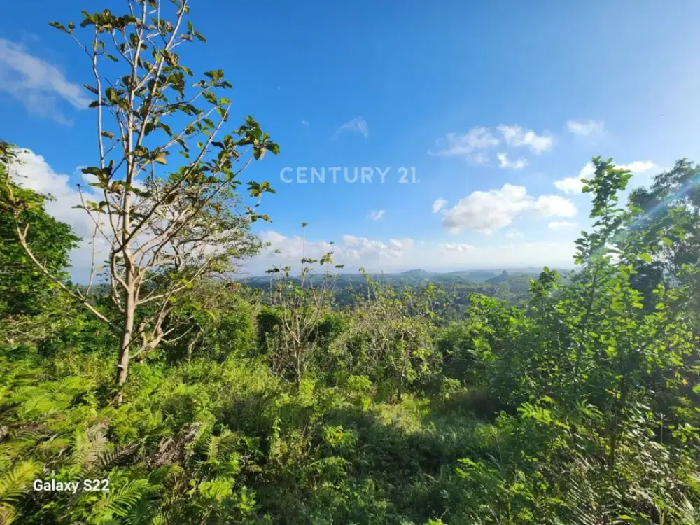 Tanah Premium Untuk Villa Glamping Di Nusa Penida Harga Spesial