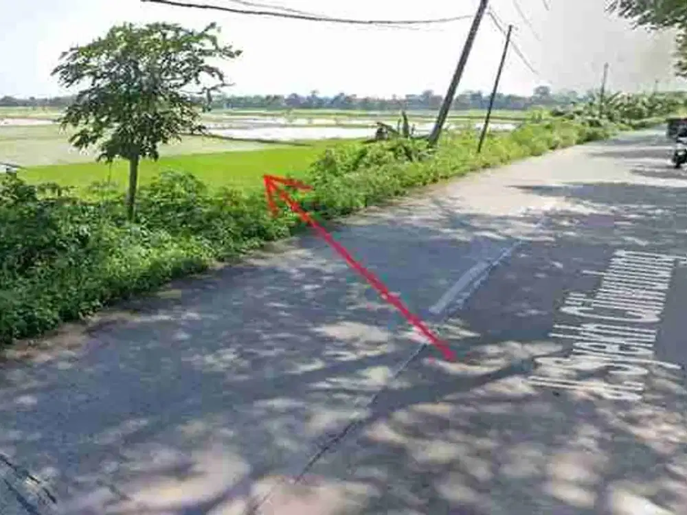 Jual Tanah 10hektar dibawah Harga Pasar Serang Banten Cocok untuk industri