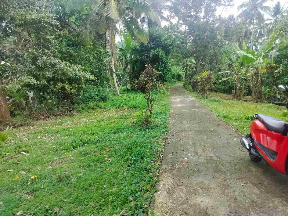 jual tanah murah.di tabanan 21 are harga 35 / are