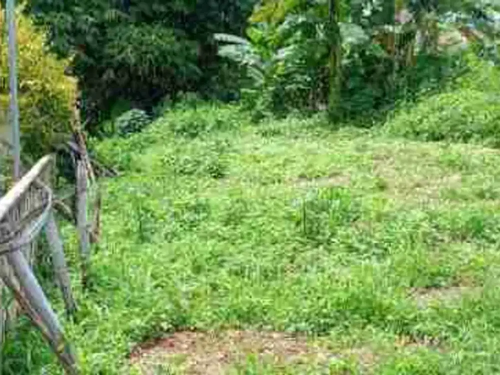 Tanah Dijual Jaticempaka Pondok Gede Kota Bekasi