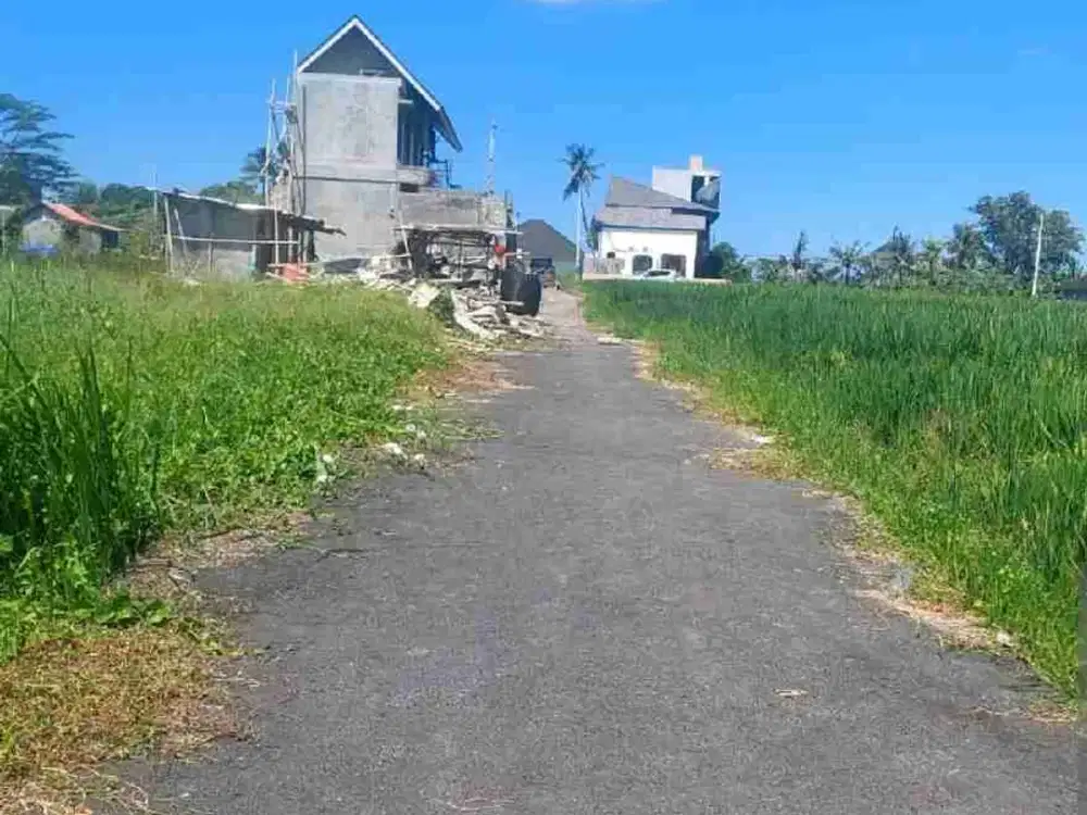 JUAL tanah di Kedungu Bali