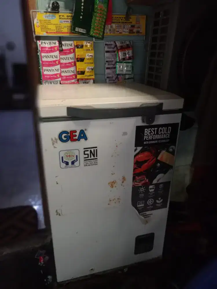 Frezer box 100 liter