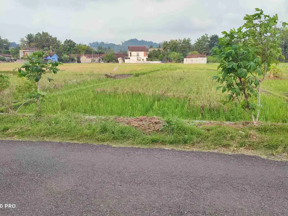 Dijual Tanah Tepi Jalan Aspal Dekat Jalan Raya Godean Yogyakarta