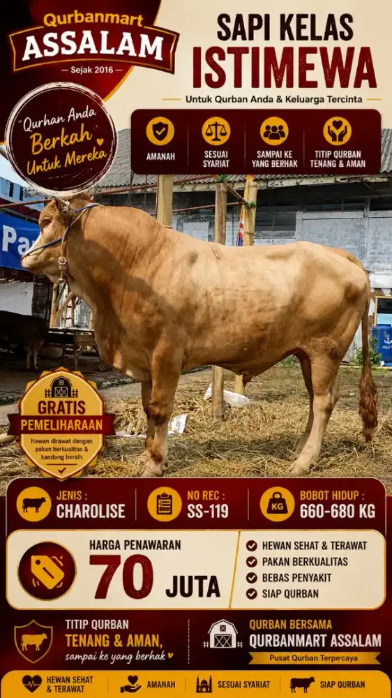 HEWAN QURBAN SAPI 20 JUTAAN DOMBA 2 JUTAAN SIAP NEGO