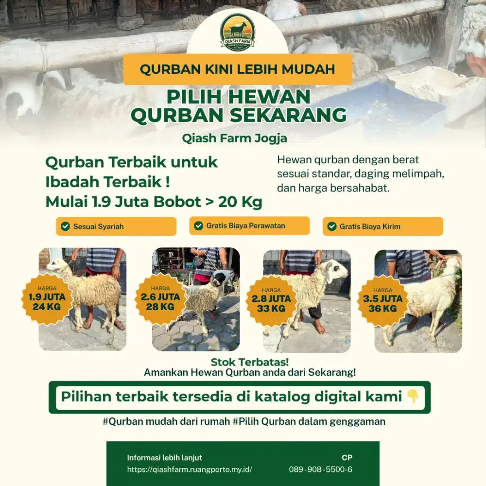 Kambing Qurban Terjangkau