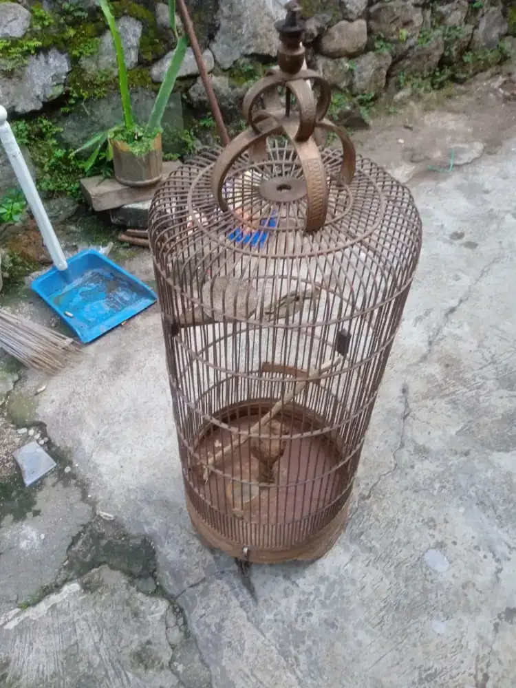 Kandang branjangan