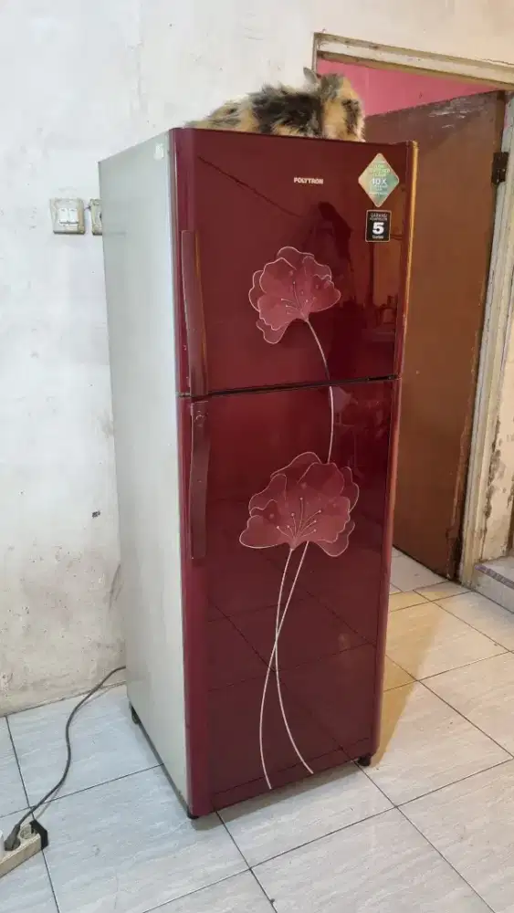 kulkas Polytron
