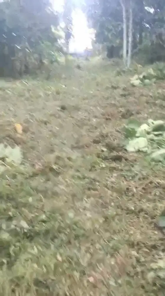 Tanah disewakan murah di kolongan, kalawat, minahasa utara