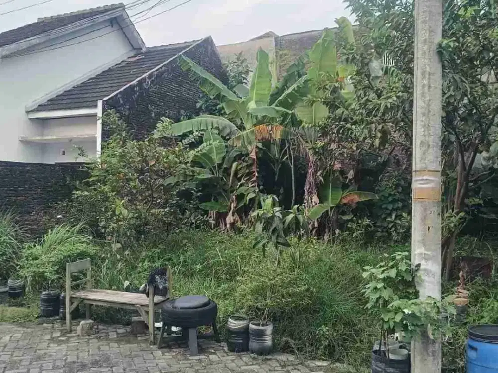 101
