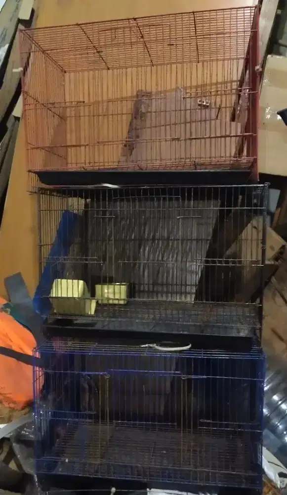 Kandang burung sugar glider ayam dst