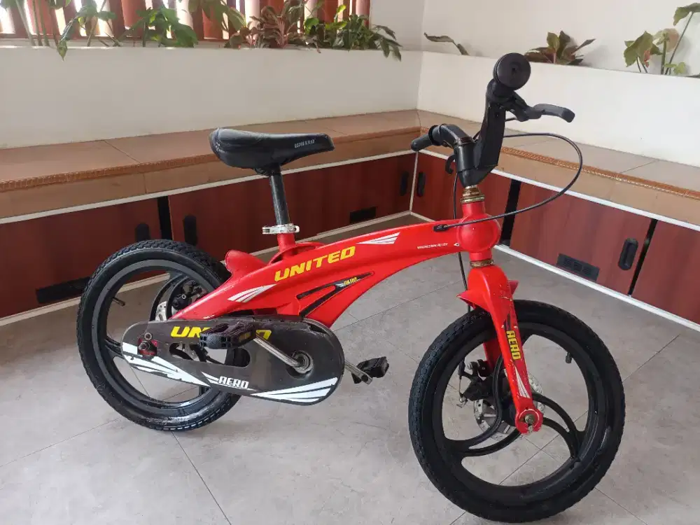 Sepeda United Aero Magnesium 16