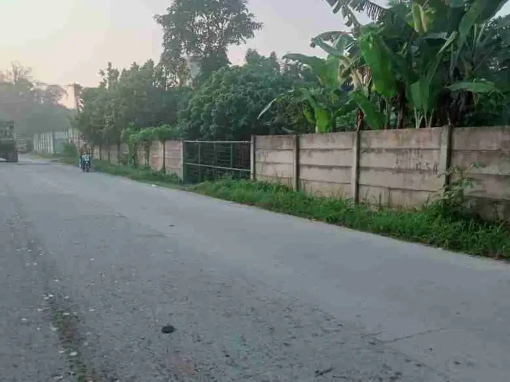 Di Jual Tanah Komersial di Jln Gn.Maloko Dangdang Cisauk Tangerang Banten