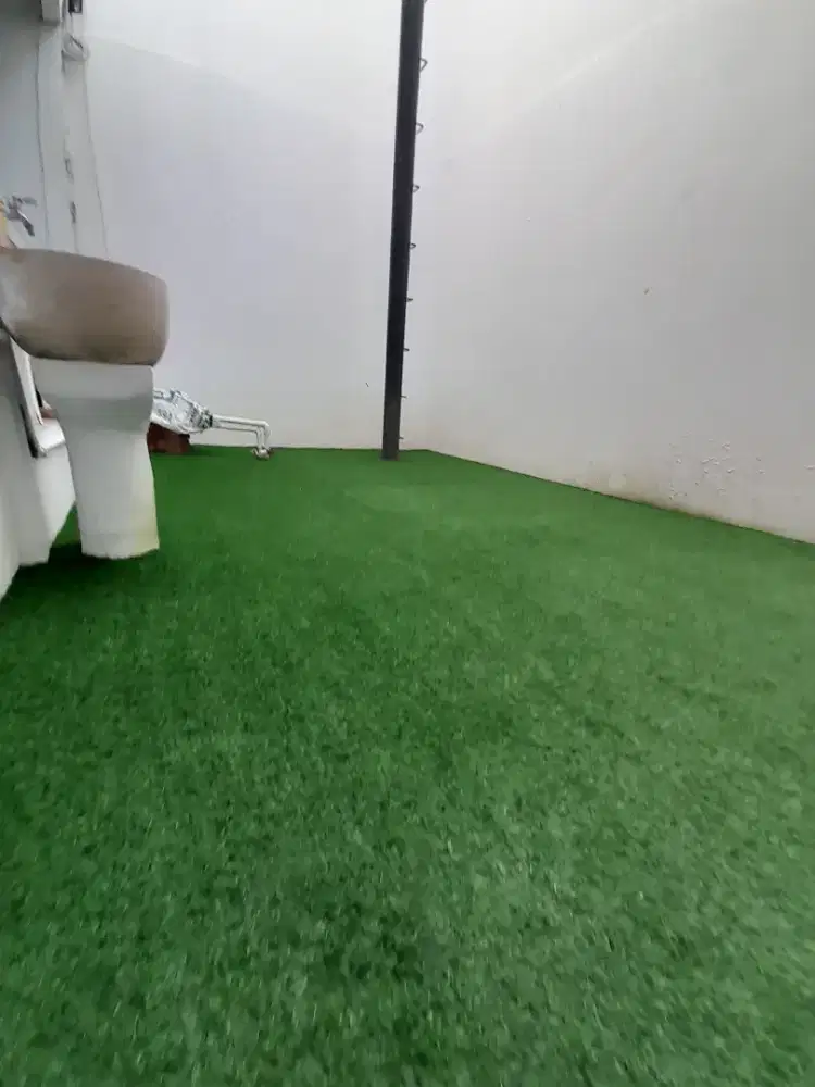 DEKORASI RUANG DALAM RUMAH DGN RUMPUT SINTETIS UNTUK RUANG SANTAI