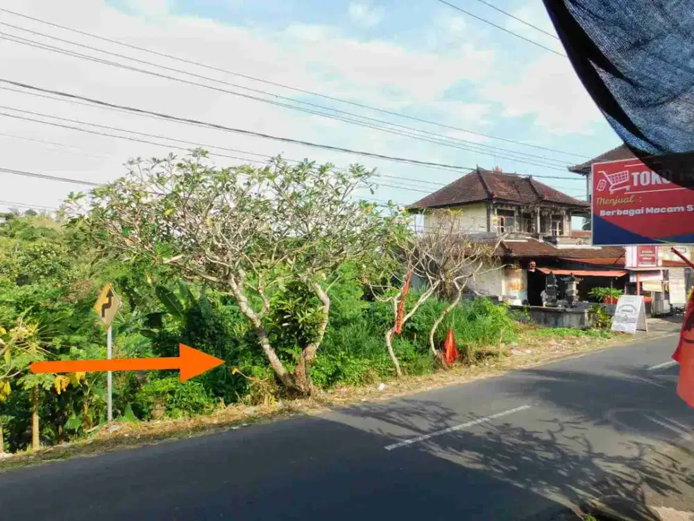 JUAL TANAH POSISI JALAN UTAMA COCOK UNTUK USAHA DLL  & LOSS SUNGAI
LOKASI DEKAT JALAN BYPASS  IR. SUKARNO TABANAN BALI