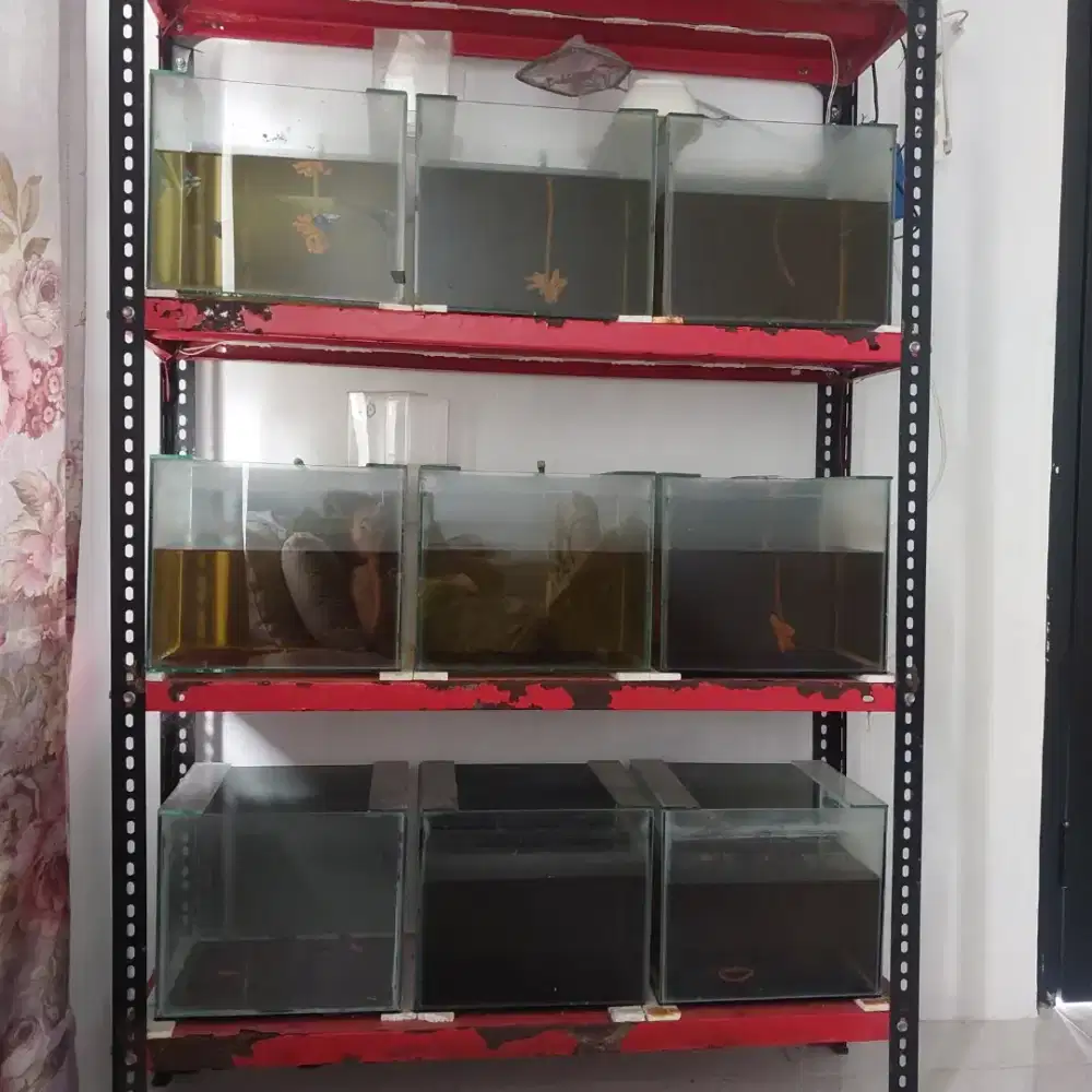 Jual aquarium set