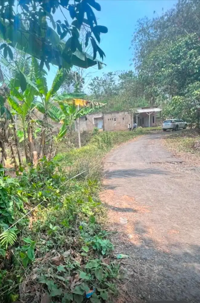 Tanah luas 1422 m2, murah di pinggir jalan dekat wisata coconut garden