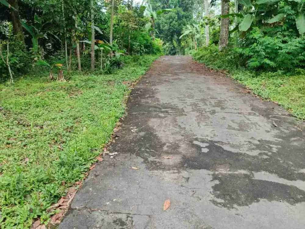 Tanah Super Murah SHM Pekarangan Mangku Jalan/tepi jalan umbulharjo Cangkringan