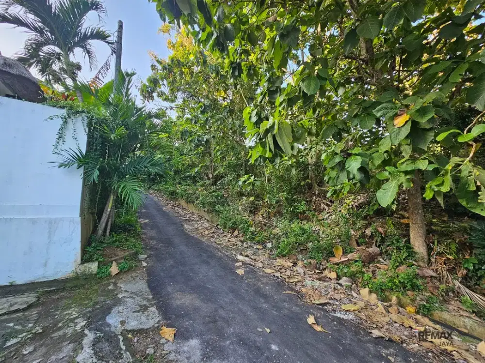 Tanah Unblocked View Laut Dijual di Ungasan Jimbaran