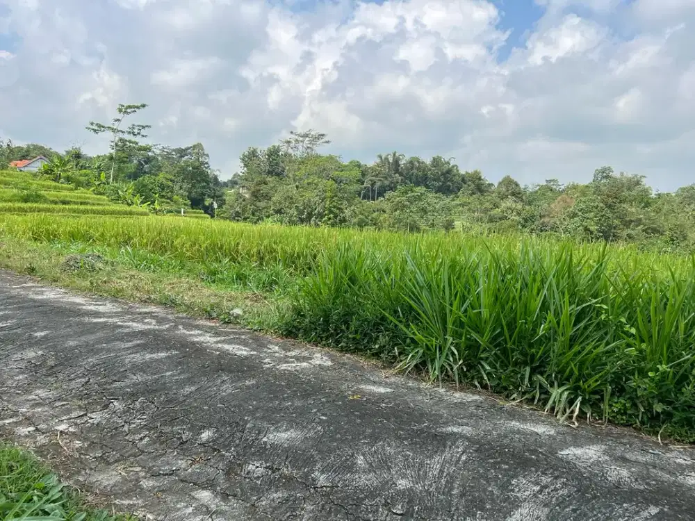 Tanah 1600m² Barat Pasar Karangpandan