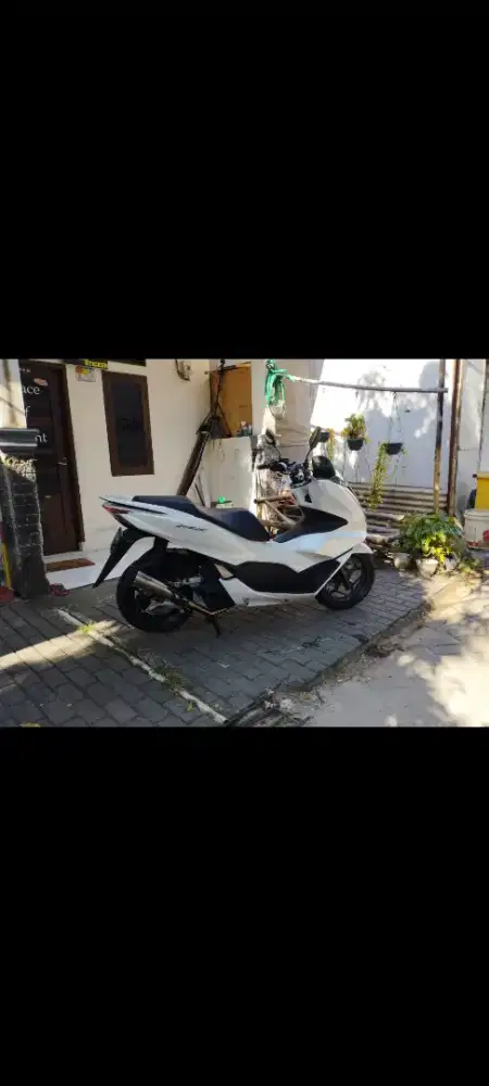 PCX putih putih 2022