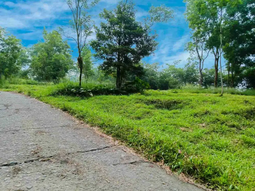 Tanah Super Murah SHM Pekarangan Tepi Jalan utama Barat Merapi Golf