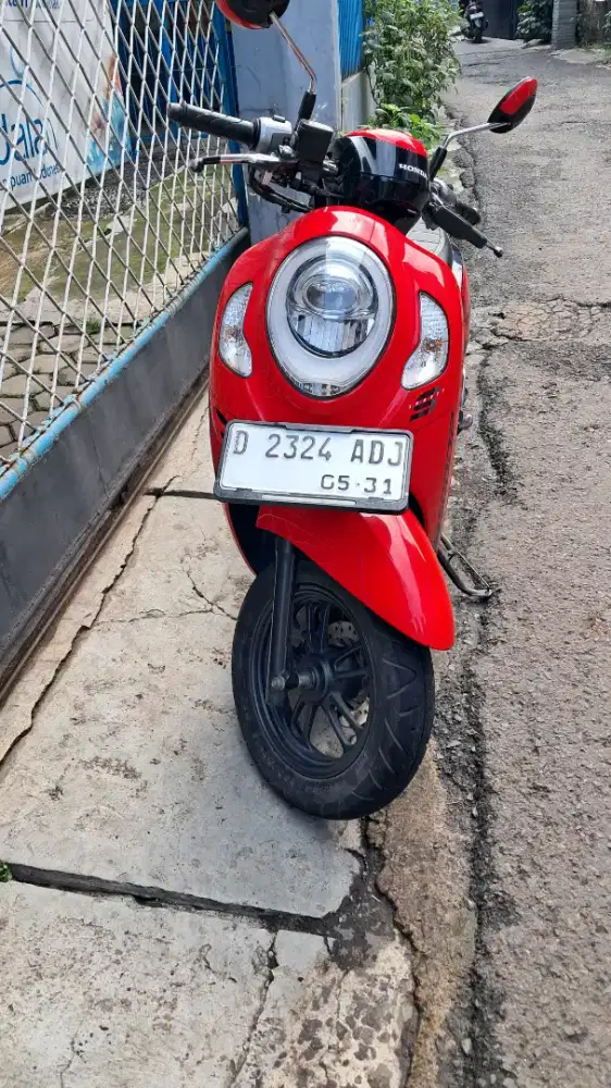 Scoopy 2021 Mulusss