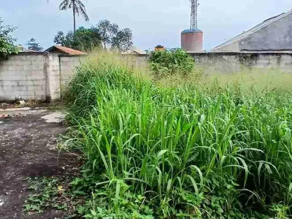 jual tanah di bogor