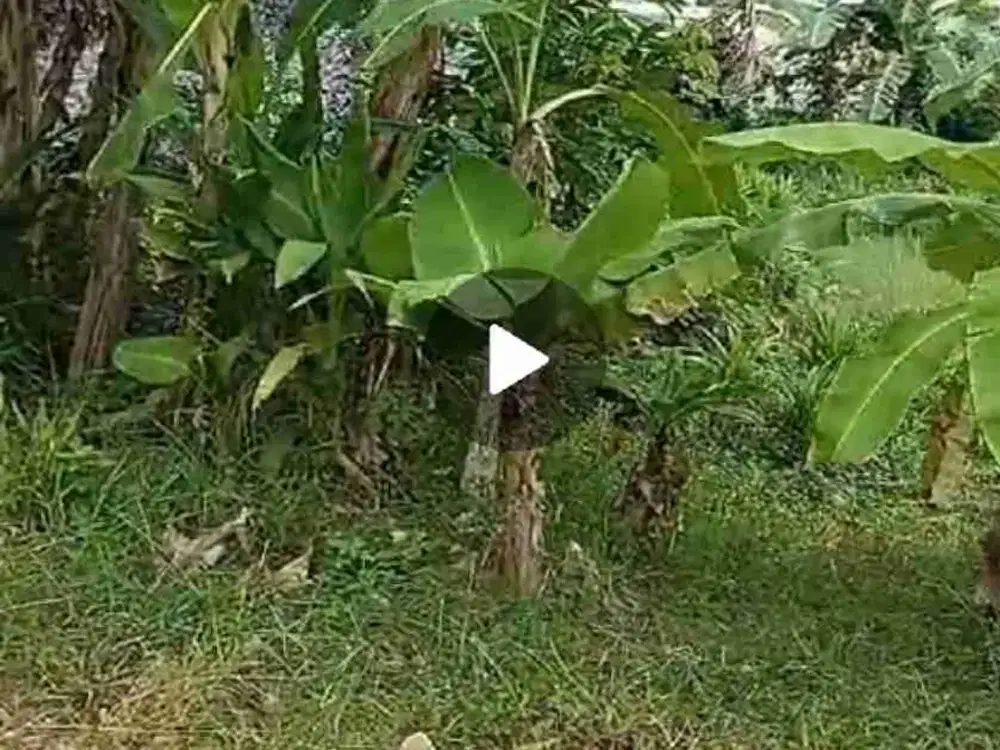 tanah kavling dekat kawasan campus