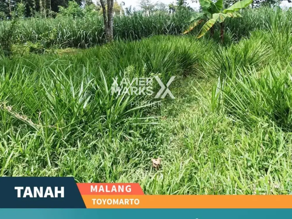 Termurah Dijual Tanah Siap Bangun di Toyomarto Singosari, Malang