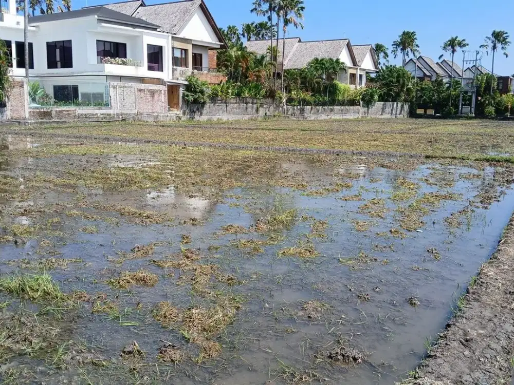 Beachside 30 Are Leasehold Land For 25 Years In Cemagi, Badung Area