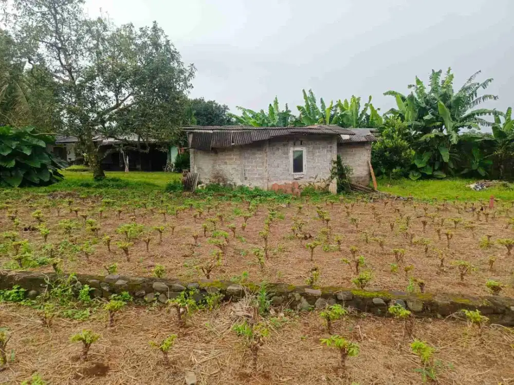 Jual Tanah Potensial Cocok utk jadi Rumah atau Berkebun
