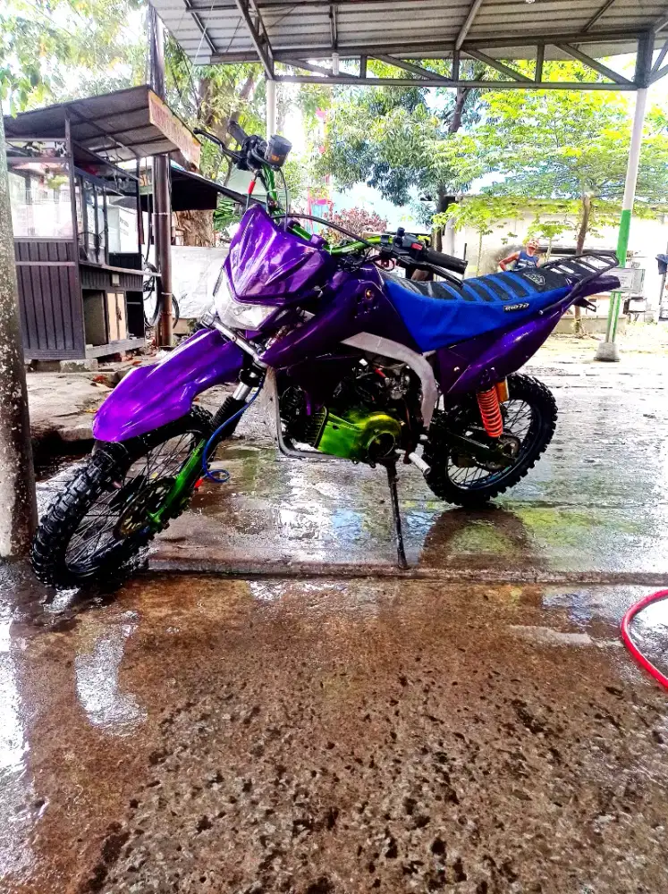 Yamaha F1ZR 1995