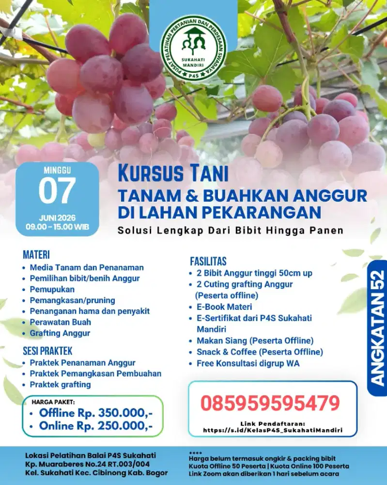 Pelatihan Budidaya Anggur Impor